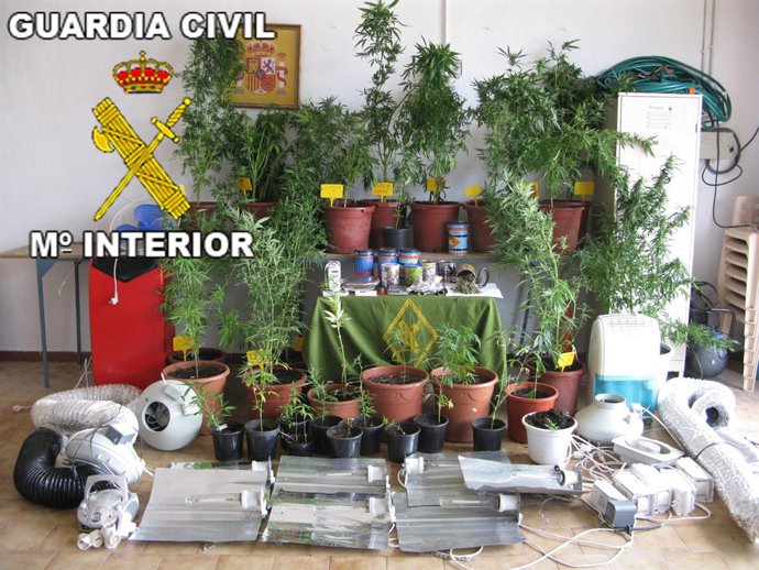 Material aprehendido