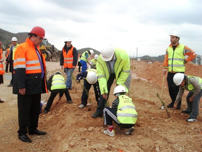 ECONOMIA   Notadeprensadíadelosárbolesylosáridosencanterasantacruzdeholcimfuente