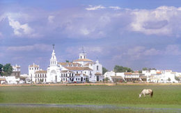 Aldea de El Rocío, en Almonte (Huelva)