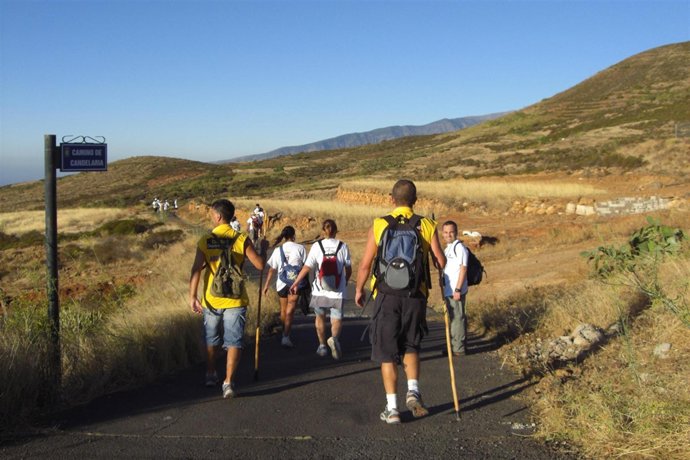 Más De 400 Peregrinos Llegan A Candelaria Por El Camino Viejo