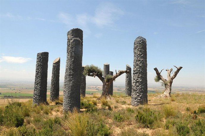 Foto de la obra  'Árboles como Arqueología' de Fernando Casás