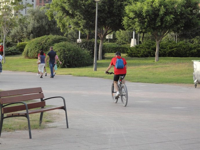 Ciclista en el antiguo cauce del Túria