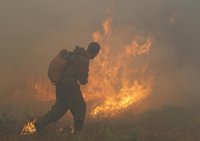 Se reducen a 359 los incendios activos en Rusia