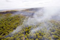 Los cinco detenidos por el fuego de Falces (Navarra) pasan hoy a disposición judicial