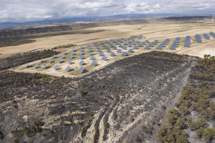 Incendio forestar en Falces.