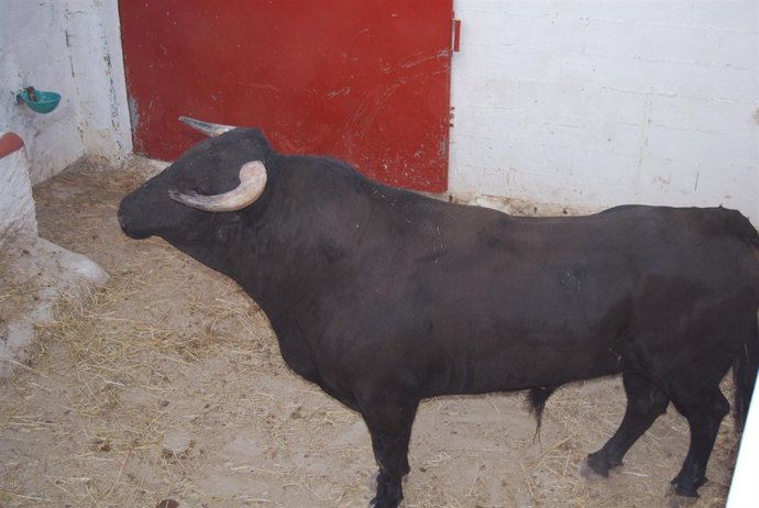 Toro de cuerda de Carcabuey