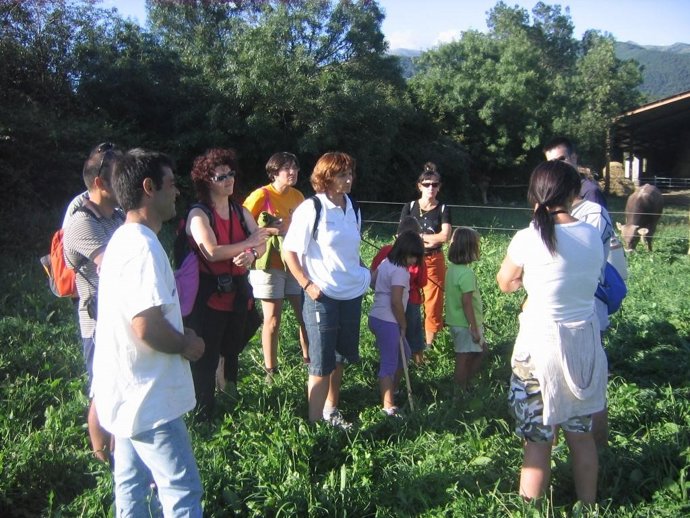 Turistas en una explotación ganadera en las visitas guiadas de Biescas