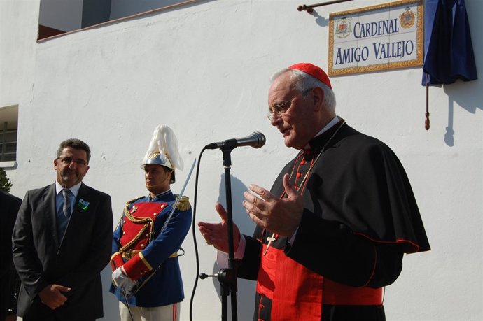 Cardenal Amigo Vallejo