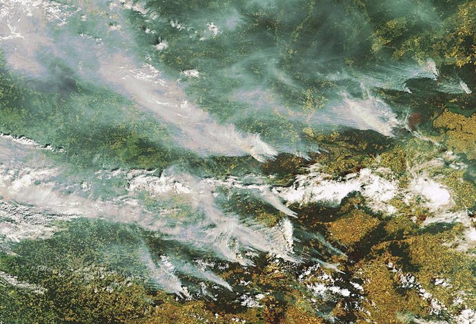 incendios forestales en Rusia