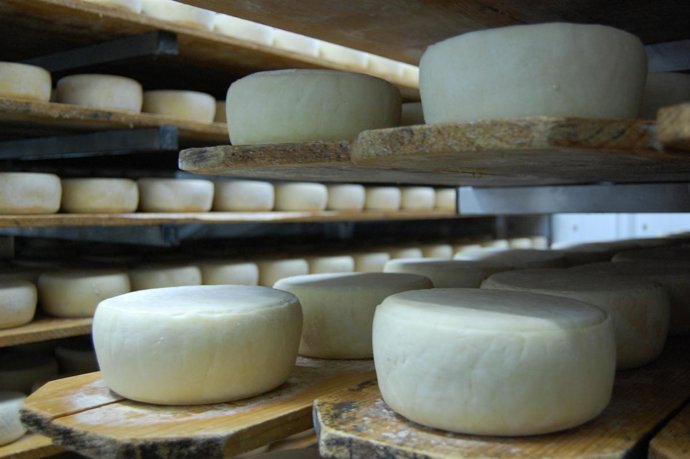 CRECE LA PRODUCCIÓN DE TORTA DE LA SERENA