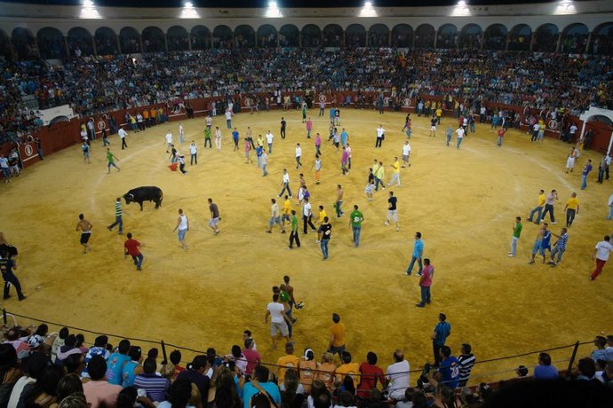 Imagen del Toro del Aguardiente de San Roque