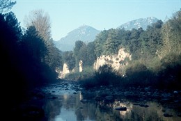 Al menos 15 bañistas presentan urticaria al bañarse en el río que pasa por Sant 