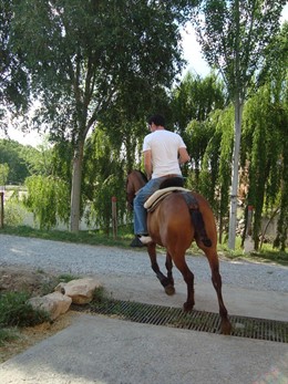 Un joven hace una ruta a caballo.