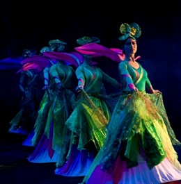 Circo Acrobático Chino