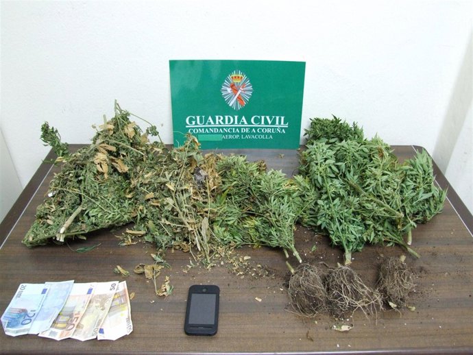 GUARDIA CIVIL A CORUÑA: Foto Cannabis, Breves Día 23