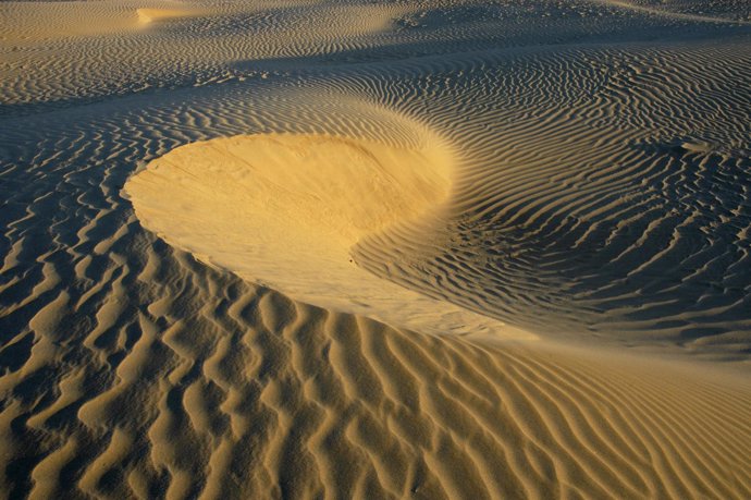 Imágen de la duna del Inglesillo, en Doñana