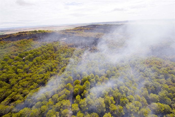 Imagen del incendio originado en Falces.