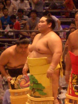 Luchador de sumo