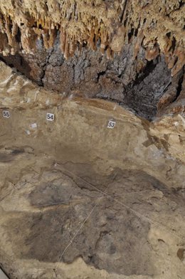 Hogar neandertal hallado en el Abric Romaní