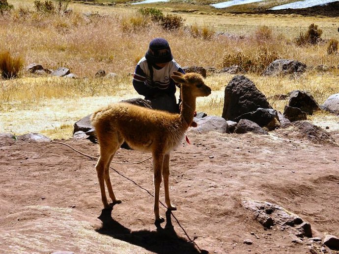 Un niño en Arequipa, Perú.