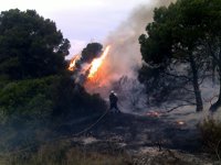Protección civil avisa del riesgo máximo de incendios en el interior de Navarra