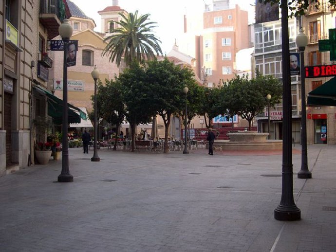 Imagen de la plaza con la palmera al fondo