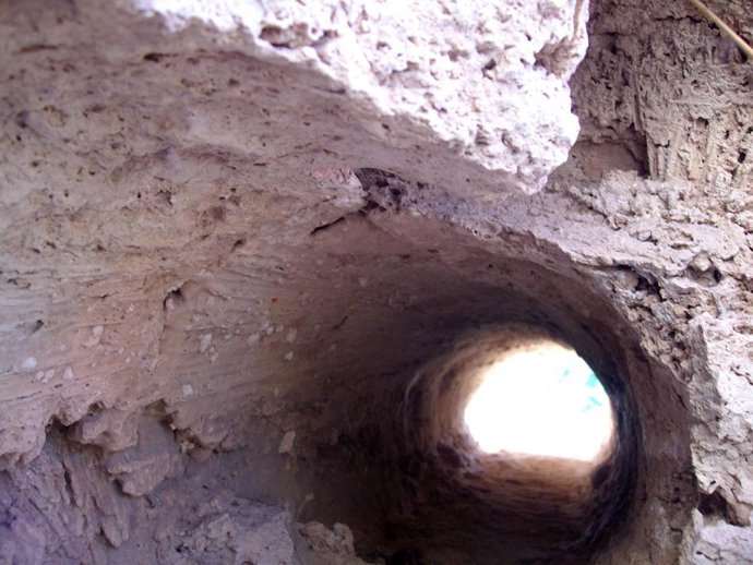 molde de árbol fosilizado