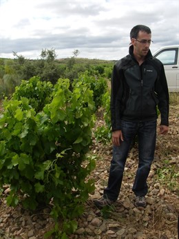 Bodegas San valero
