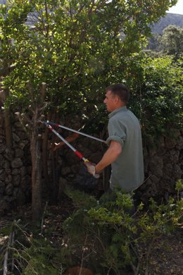 Uno de los trabajadores