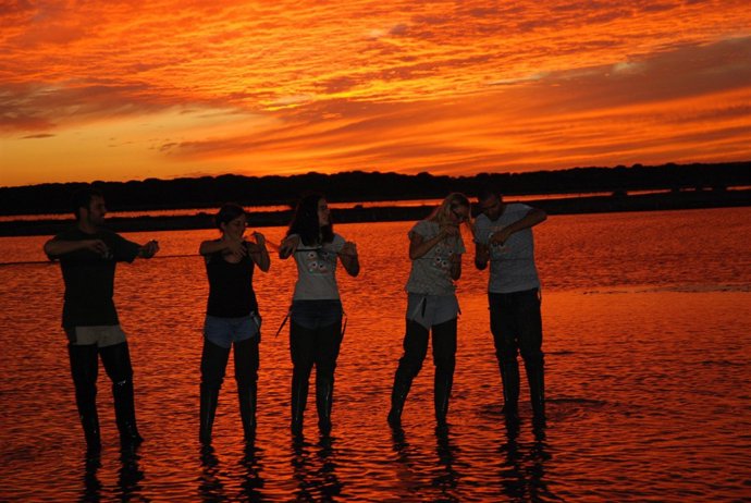 Prospección del camaleón en las Islas Saltés