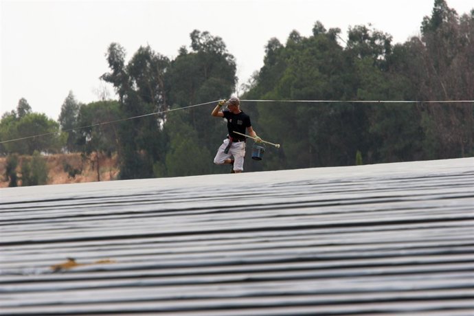 Plantaciones de fresas en Huelva