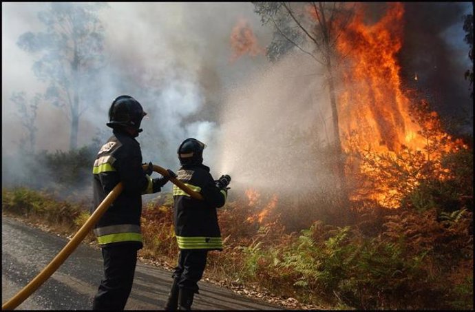 Imagen de un incendio forestal