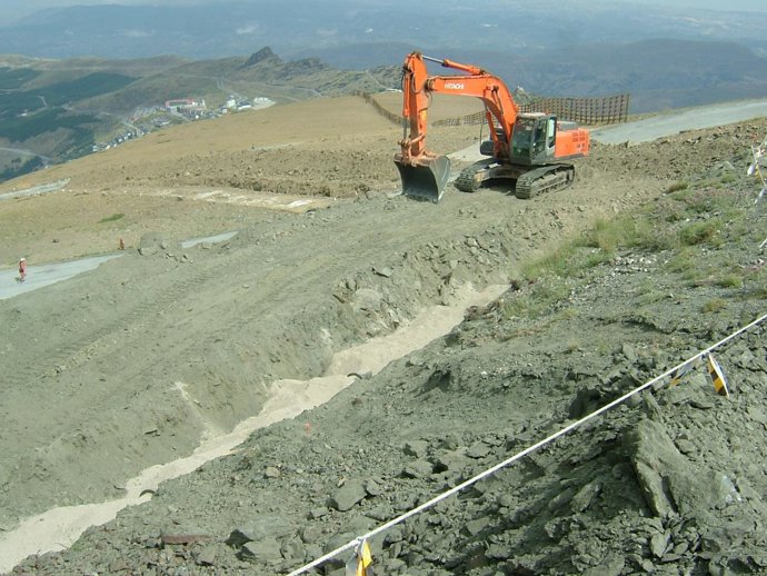 Manzanilla Sierra Nevada