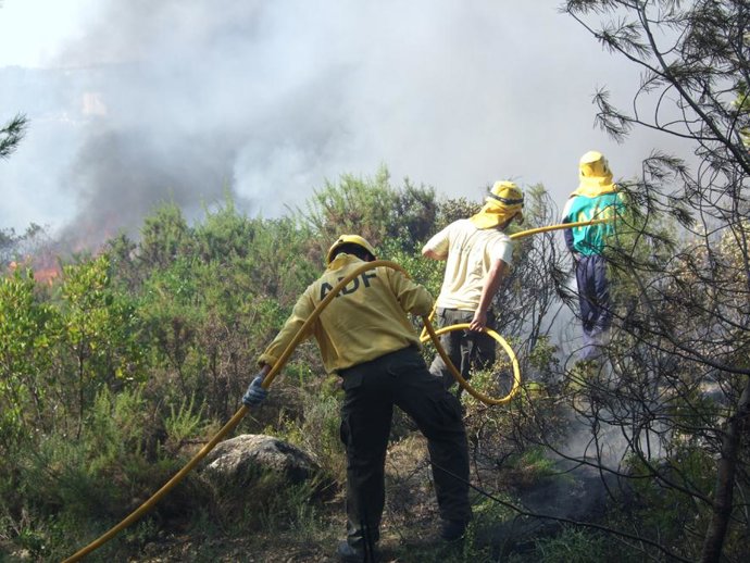 Incendio forestal en Olivella