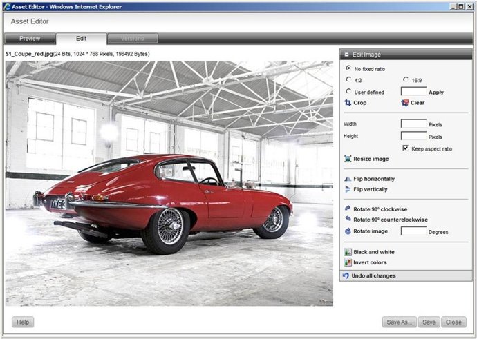 'Web Site Mannager 10.1' de Open Text.