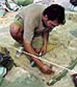 Actuaciones en Venta Micena (Orce, Granada)