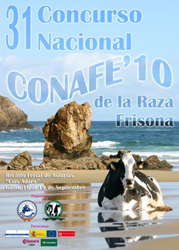 Cartel del concurso.