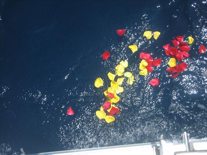 Pétalos en el mar tras depositar una urna funeraria