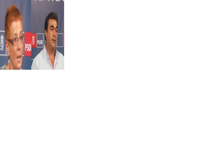 Los candidatos a la Presidencia del PSOE, Begoña García Retegui y Jesús Navarro