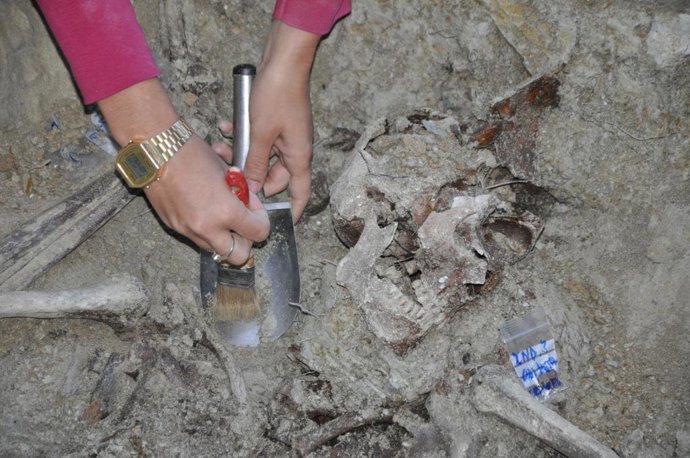 Trabajos de exhumación de tres guerrilleros antifranquistas en una fosa común de