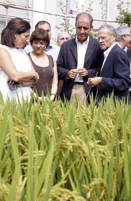 Francisco Camps y Maritina Hernández en Sueca