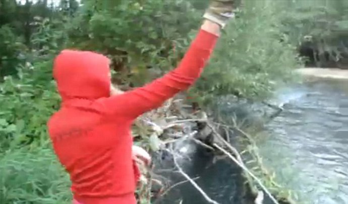 Maltrato animal online