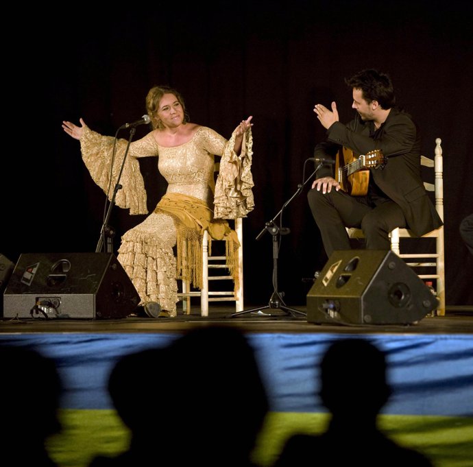 Festival Verano Camargo