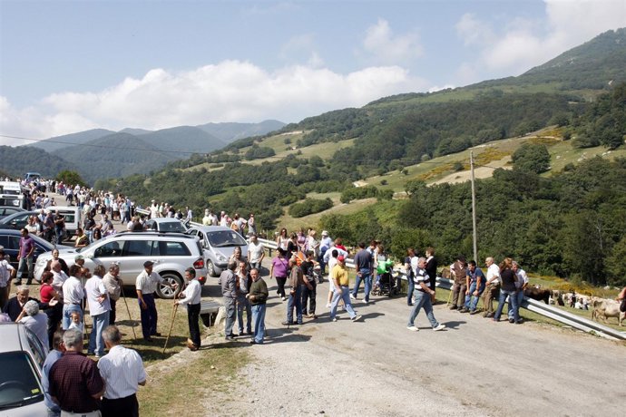 Feria de ganado en Polaciones