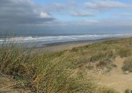 Playa Virgen en Doñana