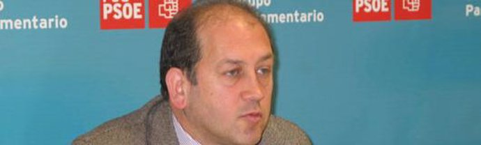 El portavoz parlamentario del PSdeG, Xaquín Fernández Leiceaga