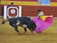 La Mesa del Parlamento decide esta semana sobre tramitación de una iniciativa popular que pide prohibir corridas