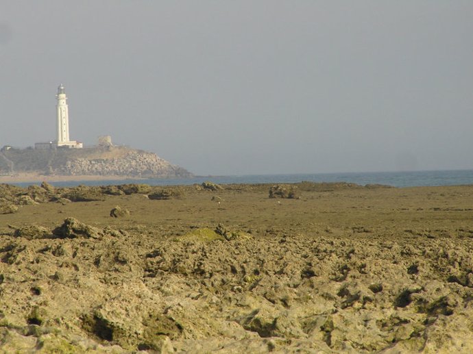 Faro de Trafalgar, en Vejer de la Frontera