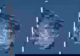 UNICEF es una agencia de Naciones Unidas 