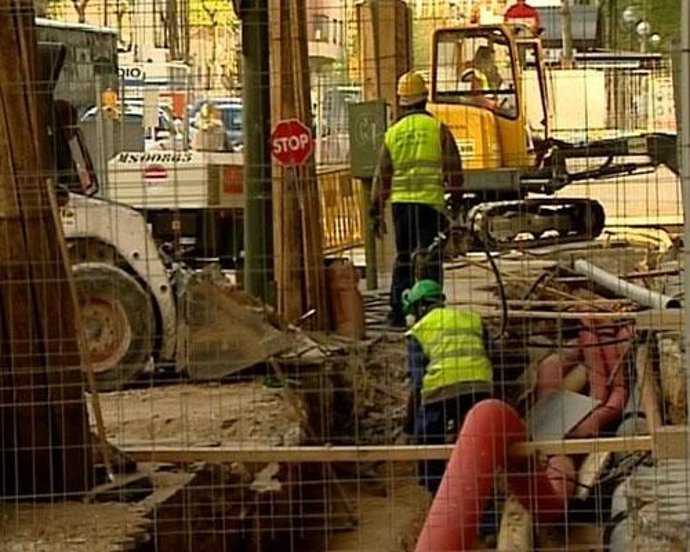 La Comunidad llevará a la Fiscalía la tala de árboles de Serrano